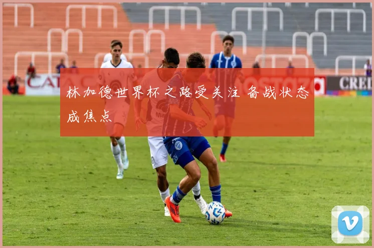 林加德世界杯之路受关注 备战状态成焦点