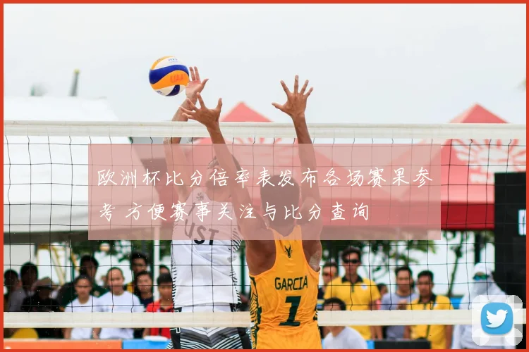 欧洲杯比分倍率表发布各场赛果参考 方便赛事关注与比分查询