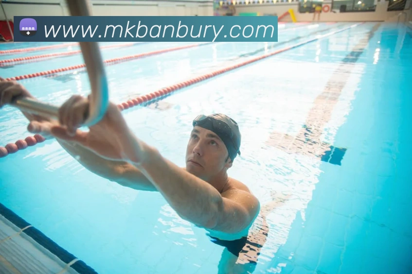 半岛平台平台生态图